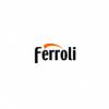Ferroli - запчасти к газовым котлам 